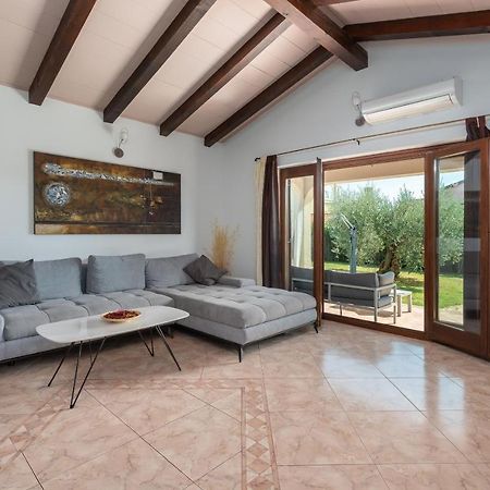 Villa Lucas Novigrad Istria Eksteriør bilde